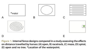 Figure 2 - Illustration des différents types d'aménagements du pré en mettant des barrières pour former un labyrinthe, une spirale, un couloir ou en le laissant ouvert.
