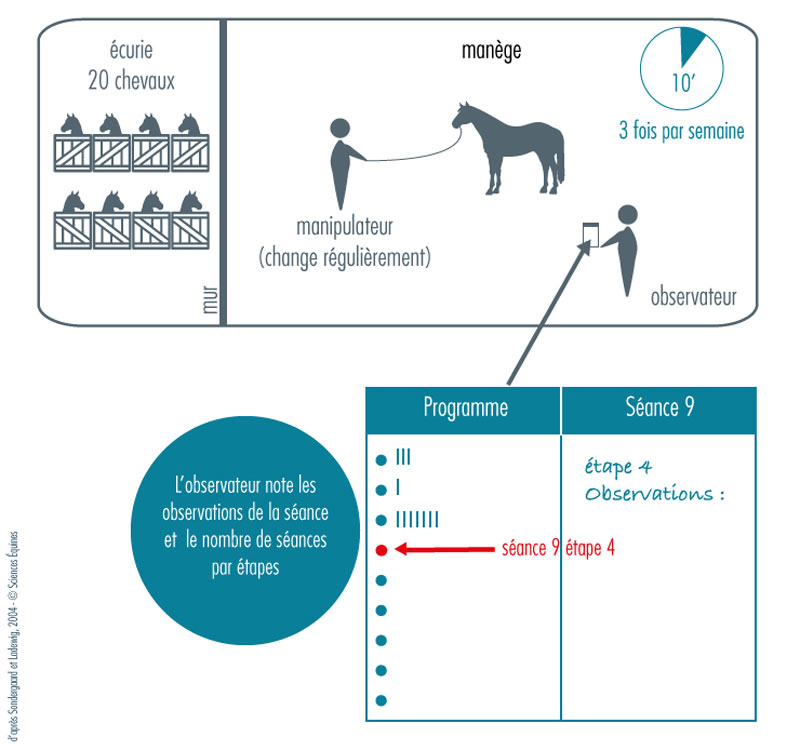 Figure 2 - Illustration du déroulement des séances de travail. 5 manipulateurs différents qui changeaient régulièrement ont été impliqués dans les sessions. Un observateur notait les sessions de manipulations.