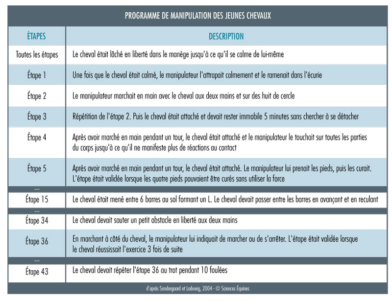 Tableau 1 : Le programme de manipulations des jeunes chevaux