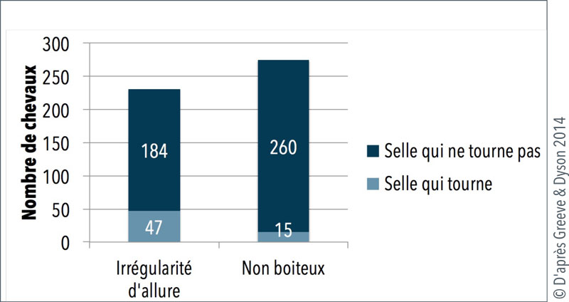 Figure 2 - Illustration des résultats. On observe un déplacement latéral de la selle dans 12% des cas (62 chevaux sur 506). On observe une asymétrie significative du dos chez 8% des chevaux, et plus d’un tiers des cavaliers (37%) sont assis de travers dans leur selle.