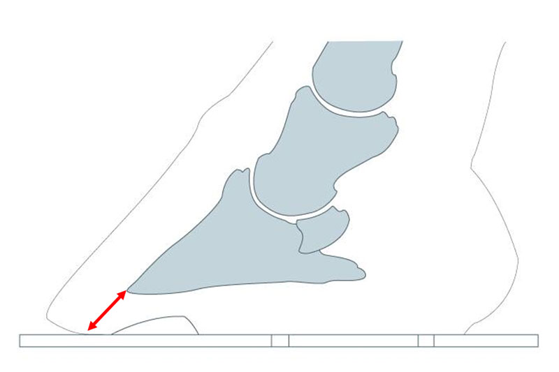 Figure 4 : Vue de côté : longueur de pince