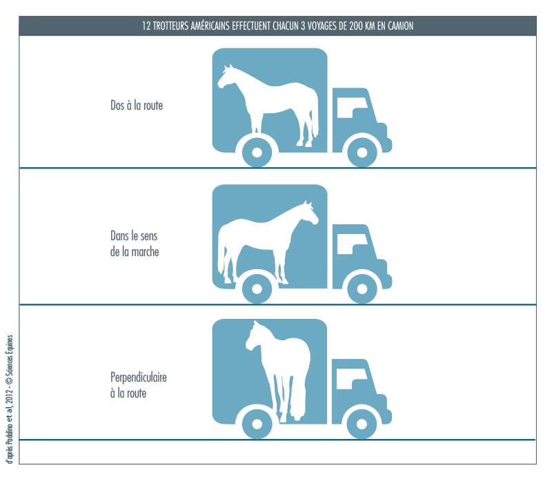 Figure 1 - illustration du protocole : 12 trotteurs américains effectuent chacun un voyage de 200 km en camion, en étant orientés une fois le dos à la route, une fois dans le sens de la marche et une fois perpendiculaire à la route. 