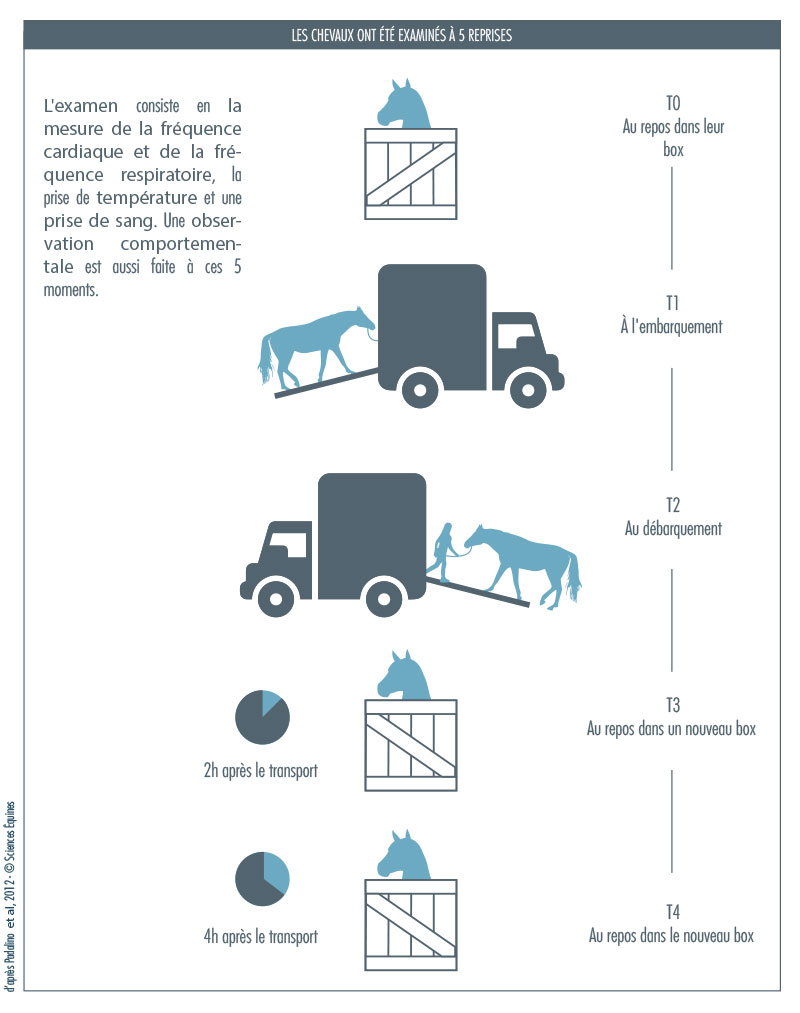 Figure 2 - Illustration de l'examen : La mesure de la fréquence cardiaque et de la fréquence respiratoire, la prise de température et une prise de sang effectuées au repos dans le box, à l'embarquement, au débarquement, au repos dans un nouveau box 2h après le transport puis à nouveau 4h après.