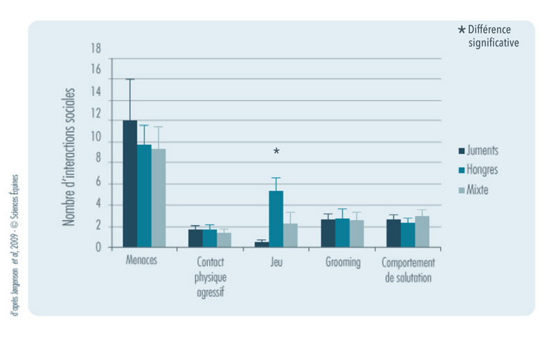 Figure 1 - Nombre d'interactions sociales entre les chevaux selon la composition des groupes : Menaces, contact physique agressif, jeu, grooming, comportement de salutation.
