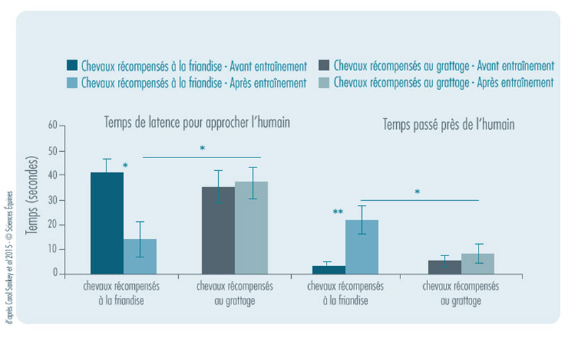 Figure 2 : Durée maximale d’immobilité entre les chevaux récompensés par la nourriture et ceux récompensés par le grattage au fil des 6 jours. 