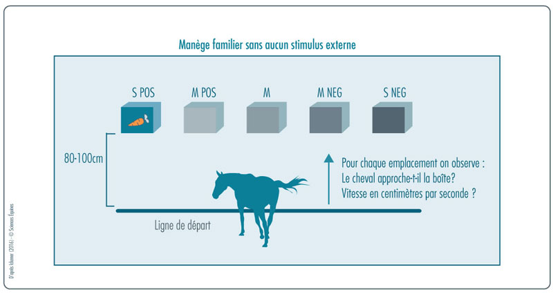 Figure 1 - Illustration du protocole : biais cognitif observé via un exercice de discrimination spatiale