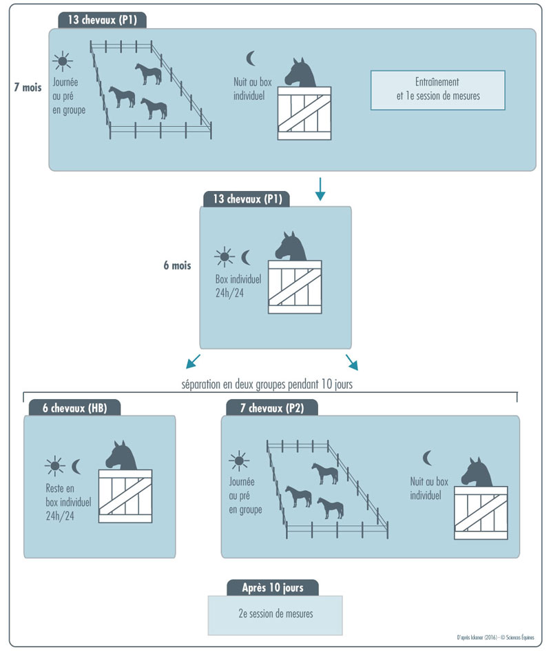 Figure 3 - Illustration du protocole d'hébergement, tel que décrit ci-après