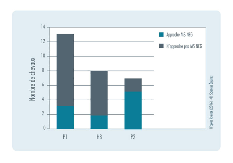 Figure 3 : Nombre de chevaux par groupe à approcher / ignorer MSNeg (position ambiguë proche de SNeg)