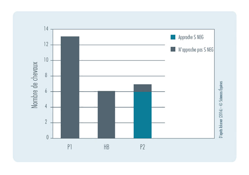 Figure 4 : Nombre de chevaux par groupe à approcher / ignorer SNeg