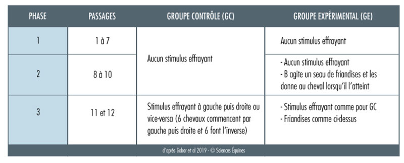 Tableau 1 : illustration de l'organisation des 12 passages pour le groupe contrôle et le groupe expérimental.
