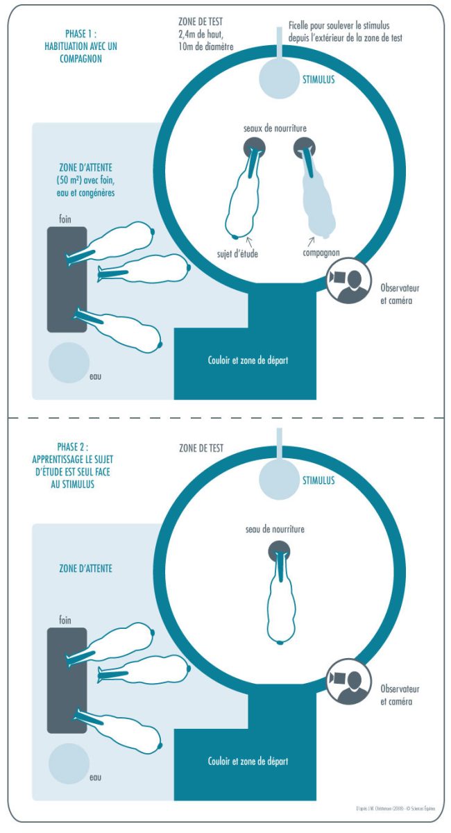 Figure illustrant les phases et la zone de test décrites ci-dessous
