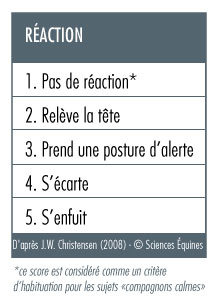 Tableau illustrant les scores de réactivité décrits ci après