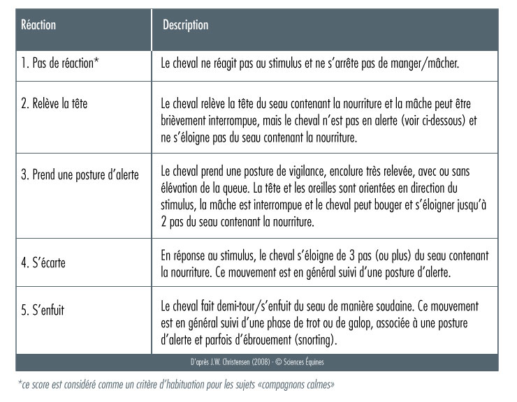 Tableau détaillant les scores de réactivité
