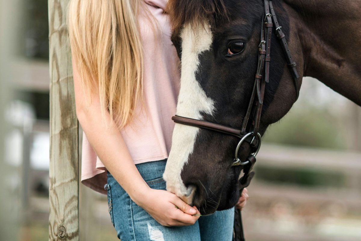L’influence du lien homme-cheval sur le stress et le comportement ...