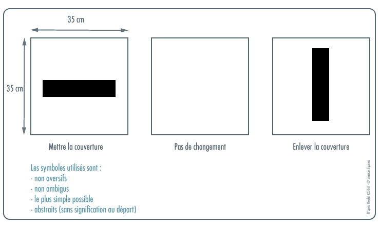Figure illustrant les trois panneaux utilisés pour l'expérience (décrits dans le texte)