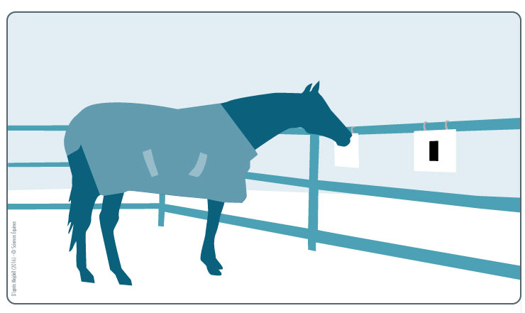 Dessin d'un cheval sur le point de toucher un panneau avec un trait vertical