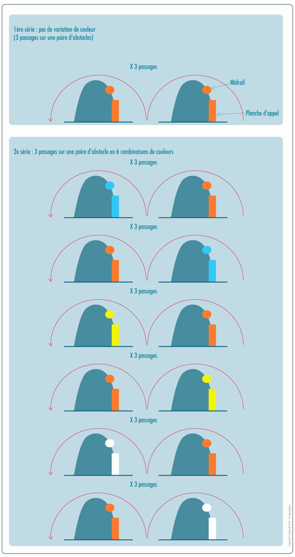 Schéma montrant les combinaisons de couleurs utilisées sur les paires d'obstacles sautées et analysées par les chercheurs. La première combinaison sautée est composée de deux obstacles orange, comme actuellement sur les champs de course. Les combinaisons sautées ensuite incluent toujours l'actuel orange et l'une des trois couleurs définies comme les plus visibles par les chevaux, soit le bleu vif, le jaune fluo et le blanc.