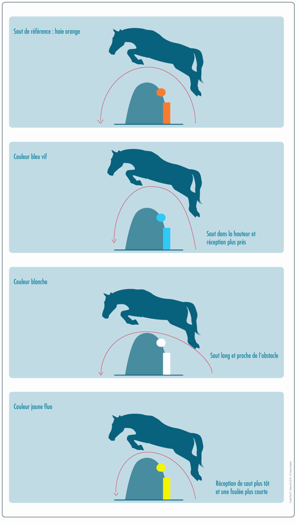 Figure 3 les profils de saut selon les couleurs d'obstacles (description dans le texte ci-dessus).