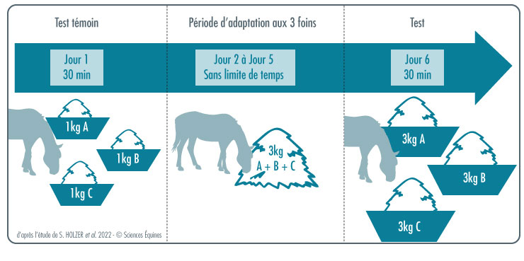 En Jour 1, dit jour témoin, 1kg de chaque foin est proposé simultanément dans trois récipients différents, pendant 30 minutes. Puis, ils sont retirés et pesés. Les 4 jours suivants sont une période d'adaptation : 3kg des trois foins mélangés dans un seul récipient sont laissés à disposition sans limite de temps. Le jour 6, dit jour test, 3kg de chaque foin sont proposés simultanément dans trois récipients différents durant 30 minutes. Puis les récipients sont retirés et pesés.