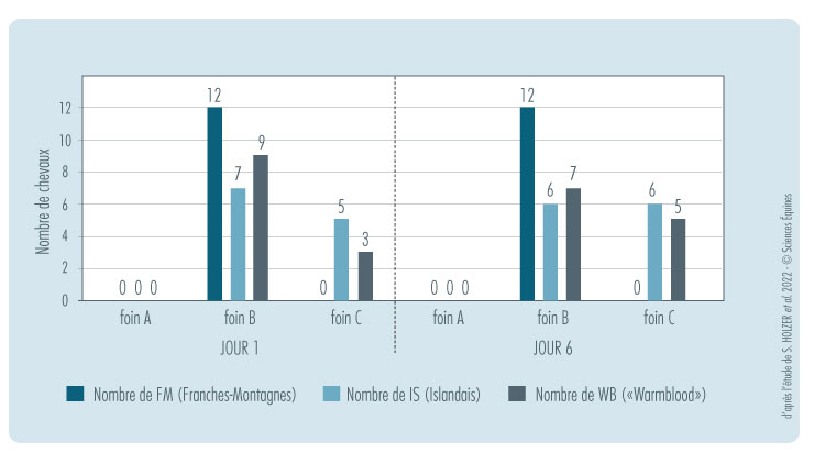 Le foin A n'a pas du tout été consommé par les chevaux. Les étalons Franches-Montagnes ont tous mangé uniquement le foin B en Jour 1 et Jour 6. Les Islandais, hongres et juments, ont mangé du foin B et du foin C. En Jour 1, sept chevaux ont mangé le foin B et cinq chevaux le foin C, tandis qu'en Jour 6, la répartition s'équilibre: six chevaux ont préféré le foin B et six autres le foin C. Cette même tendance s'observe dans le groupe "Sang-chaud", hongres et juments : en jour 1, neuf chevaux préfèrent le foin B et trois chevaux le foin C , et en Jour 6, seulement 7 chevaux ont préféré le foin B contre cinq chevaux le foin C.