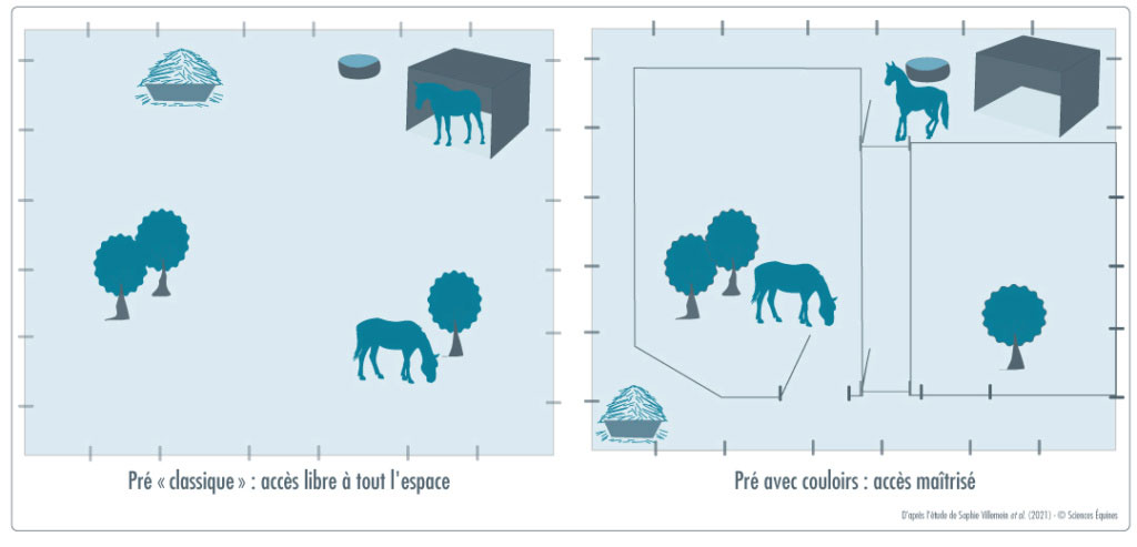 Figure 1. A gauche : pré classique sans restriction d’accès; à droite : pré avec couloirs limitant l’accès à certaines zones par un système de barrières.