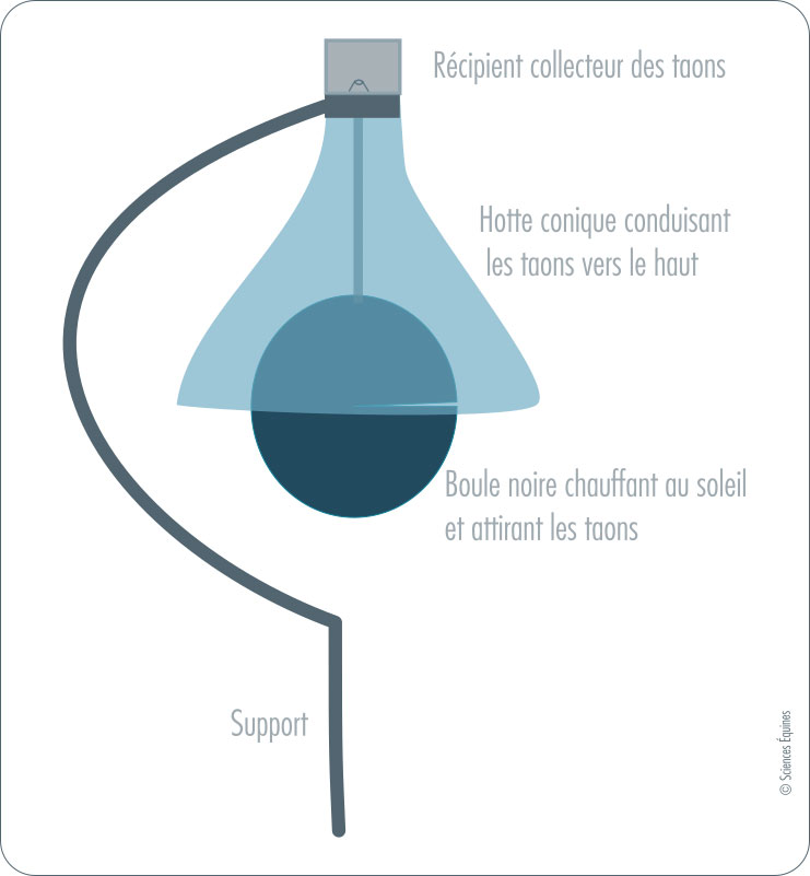 Figure 2 : Le piège H-trap se compose d'un gros ballon noir qui chauffe au soleil pour attirer les taons. Il est surplombé d'une hotte conique plus ou moins transparente conduisant les taons vers le récipient collecteur placé au sommet d'où les insectes ne peuvent s'échapper. Le tout est fixé sur un support planté dans le sol.