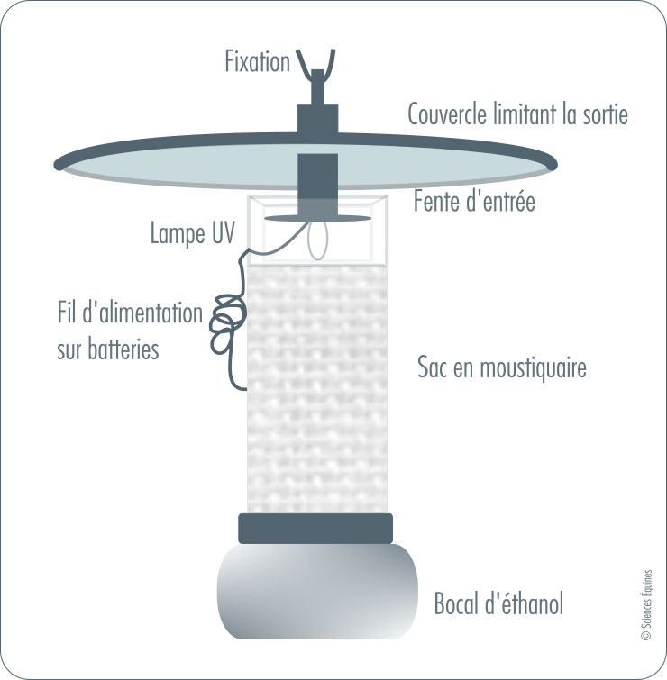Figure 3 : Le piège lumineux à lampe UV se compose d'une petite ampoule UV à l'intérieur d'un récipient transparent ouvert sur le dessus et sans fond. Il est surplombé d'un couvercle métallique. Les insectes sont attirés par la lumière et pénètrent par la fente laissée entre le couvercle et le haut du récipient. Sur la base du récipient est fixé un sac en moustiquaire qui empêche les insectes de repartir, ce sac est lui-même fixé en bas à un bocal contenant de l'éthanol qui asphyxie et collecte les insectes.