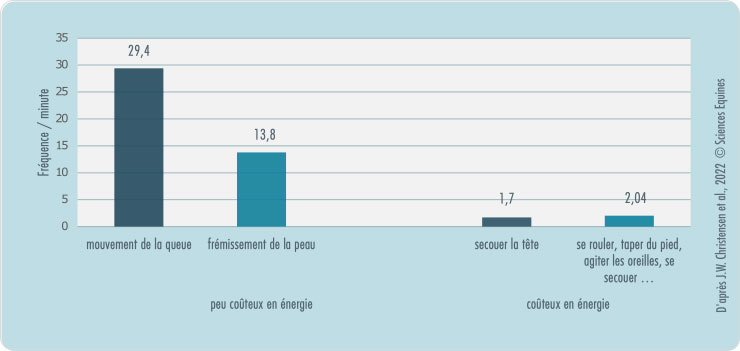 Figure 5 : Fréquence des comportements pour repousser les insectes, par cheval, sur 1 minute. Il y a deux comportements peu coûteux en énergie, qui sont les mouvements de la queue: 29,4 fois par minute et le frémissement de la peau : 13,8 fois par minute. Les autres comportements sont coûteux en énergie et beaucoup moins fréquents. Secouer la tête : 1,7 fois par minute et les autres (se rouler, taper du pied, agiter les oreilles etc.) : 2,04 fois par minute.
