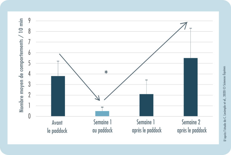 Un graphique en histogramme représentant le nombre moyen de comportements stéréotypiques par 10 minutes des chevaux expérimentaux observés au box avant le paddock, pendant la semaine de sortie au paddock, puis durant les deux semaines suivantes sans sortie. Le nombre de comportements stéréotypiques par 10 minutes passe d'environ 4 en semaine pré-paddock à quasi aucun pendant les sorties au paddock pour réaugmenter à environ 2 puis plus de 5 en semaine 1 et 2 après la période de sortie au paddock.