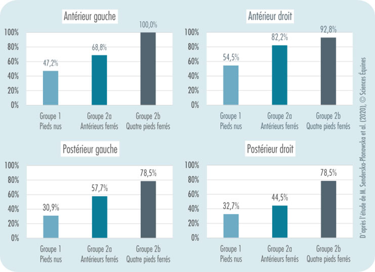 Graphique 1 Pourcentages moyens de pieds encastelés sur l'antérieur droit: groupe 1 pieds nus 47,2%, groupe 2a antérieurs ferrés 68,8% et groupe 2b quatre pieds ferrés 100%. Graphique 2 Pourcentages moyens de pieds encastelés sur l'antérieur gauche: groupe 1 pieds nus 54,5%, groupe 2a antérieurs ferrés 82,2% et groupe 2b quatre pieds ferrés 92,8%. Graphique 3 Pourcentages moyens de pieds encastelés sur le postérieur droit: groupe 1 pieds nus 30,9%, groupe 2a antérieurs ferrés 57,7% et groupe 2b quatre pieds ferrés 78,5%. Graphique 4 Pourcentages moyens de pieds encastelés sur le postérieur gauche: groupe 1 pieds nus 32,7%, groupe 2a antérieurs ferrés 44,5% et groupe 2b quatre pieds ferrés 78,5%.