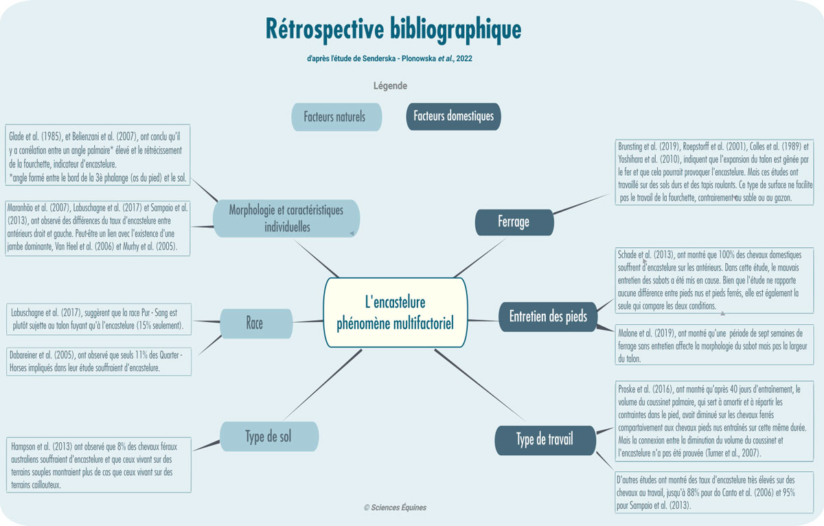Figure 4. Rétrospective bibliographique