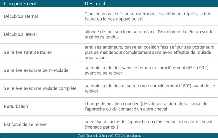 Tableau décrivant les comportements observés pour se coucher et pour se relever: décubitus sternal, décubitus latéral, se relever sans se rouler, se relever avec une demi-roulade (15° à 90°), se relever avec une roulage complète 180°, perturbation (change de position à cause d'un congénère), est forcé de se relever à cause d'un congénère.