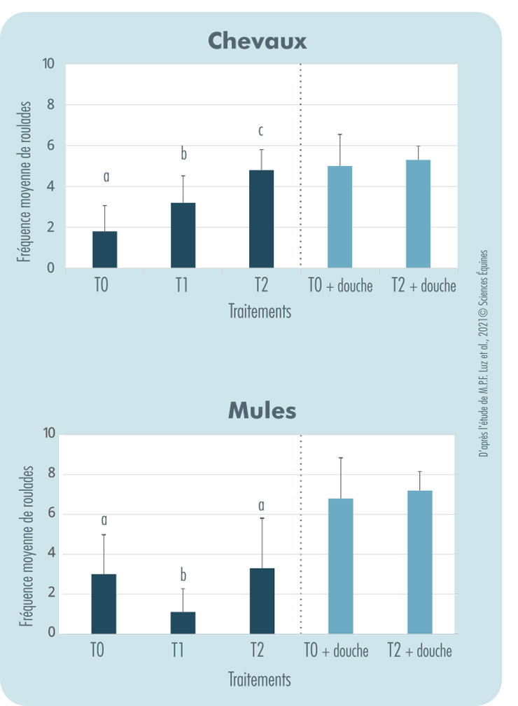 Graphiques en haut chevaux et en bas mules indiquant la fréquence moyenne des roulades selon les traitements.