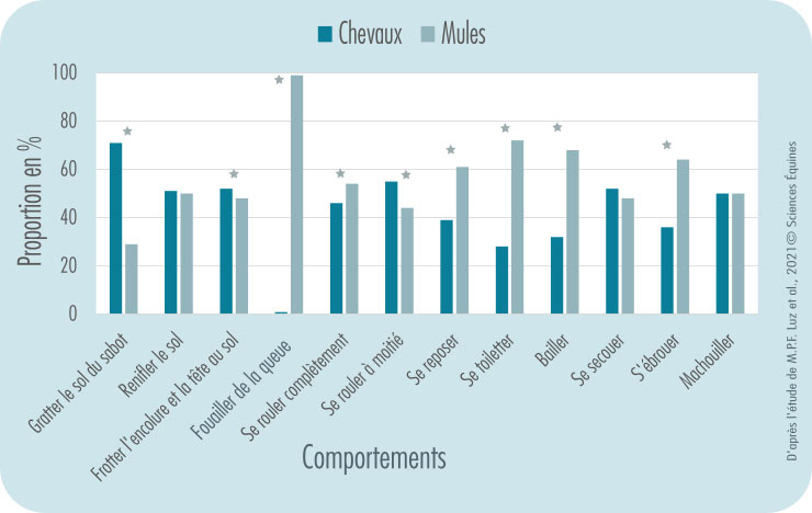 Graphique comparant pour chacune des espèce, la proportion en % des 14 comportements observés