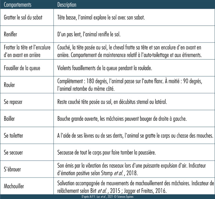 Tableau décrivant les comportements observés ainsi que leur description.