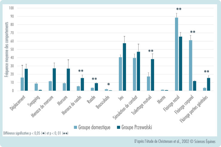 Histogramme montrant la fréquence moyenne des comportements par groupe. Les résultats sont significativement plus importants pour les Przewalski dans le cas des menaces de ruades, ruades, toilettage mutuel et flairage des parties génitales. A l'inverse, ils sont significativement plus importants pour les domestiques dans le cas du flairage nasal et du flairage corporel. Pas de différence significative pour les autres comportements entre les deux groupes
