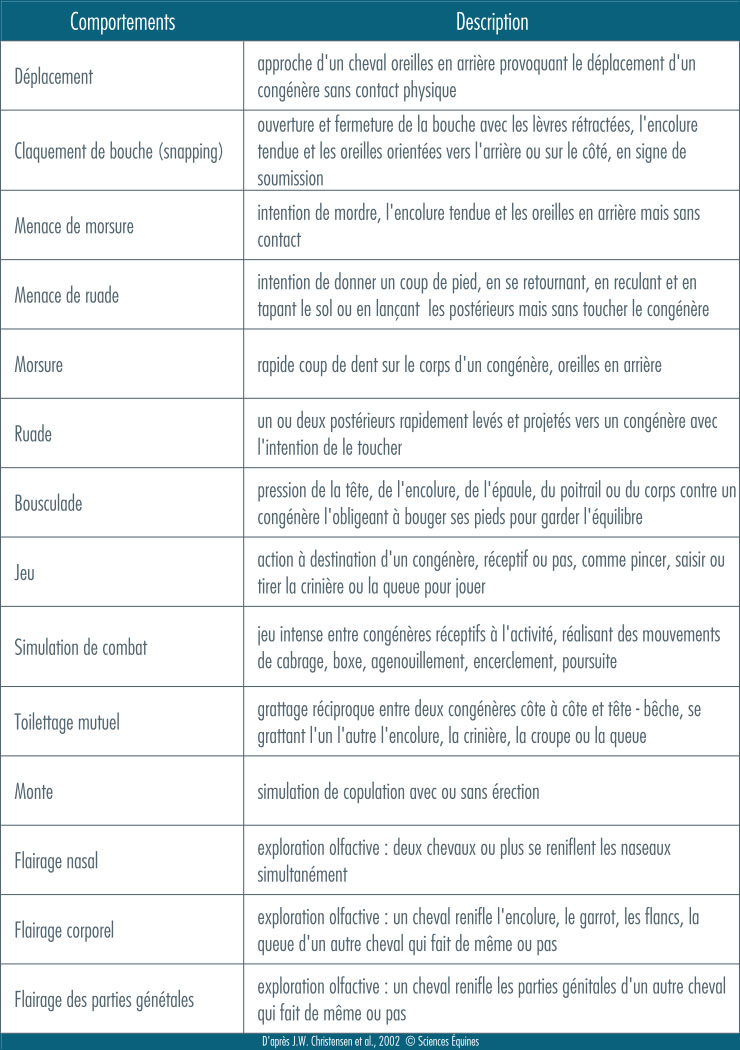 Description des comportements observés: déplacement, claquement de bouche, menace de morsure, menace de ruade, morsure, ruade, bousculade, jeu, simulation de combat, toilettage mutuel, monte, flairage nasal, flairage corporel, flairage des parties génitales.