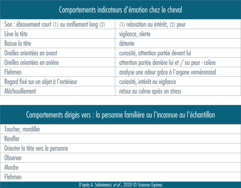 Tableau listant les comportements observés indiquant des émotions chez le cheval (son, position de la tête, des oreilles, regard, machouillements) et les comportements dirigés vers l'humain, familier ou non, ou l'échantillon : toucher, renifler, mordre…
