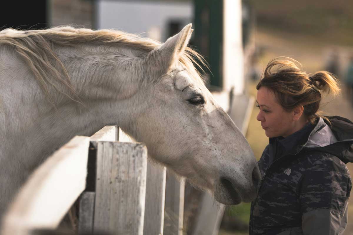 Compte rendu de l’Assemblée Générale 2024