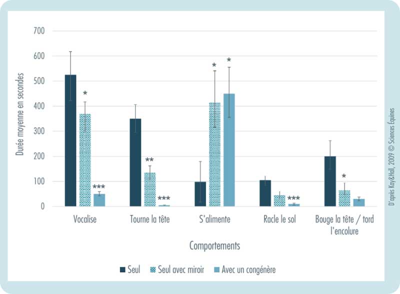 Graphique indiquant la durée moyenne des comportements notés (vocalise, tourne la tête, s'alimente, racle le sol, bouge la tête) par situation : seul, seul avec miroir, avec un congénère. 