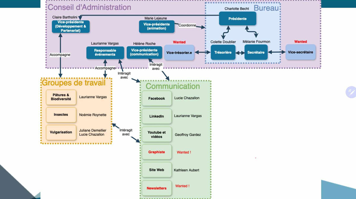 Organigramme 2024 de l'Association pour le Développement des Sciences Equines