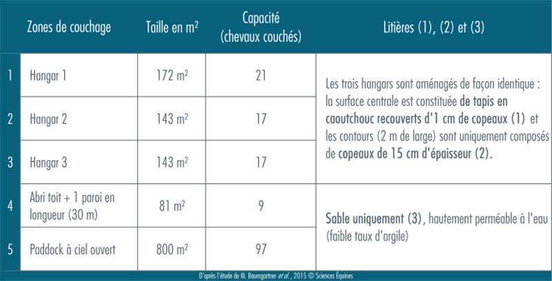 Tableau représentant les zones de repos les plus fréquentées en ordre décroissant selon le rapport : nombre de repos couché sur capacité d'accueil de la zone. 1 Abri, 2 Hangar 1, 3 Hangar 3 et 4 Hangar 2, pas de données concernant le paddock
