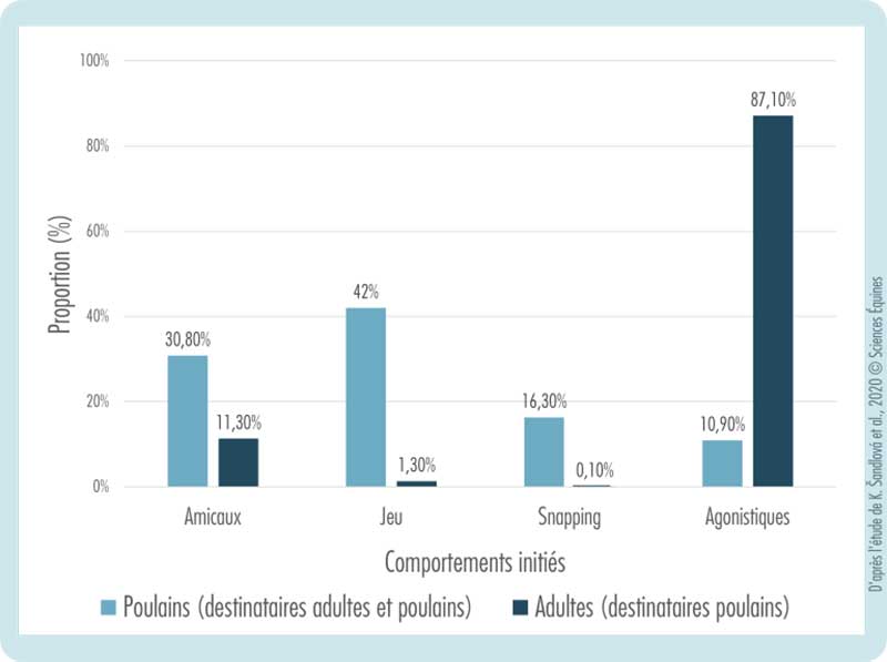 Histogramme comparant la proportion de comportements ( amicaux, jeu, snapping, agonistiques) selon l'initiateur (Poulain ou adulte) et selon son destinataire. Les adultes émettent 87,1% de comportements agonistiques envers les poulains, et 11, 3 % de comportements amicaux. Pas de données concernant les comportement émis d'un adulte vers un autre adulte. 
Les poulains émettent 10,9% de comportements agonistiques à destination soit d'un adulte soit d'un autre poulain, 42% de comportements de jeu, 30,8% de comportements amicaux et 16, 3% de snapping.