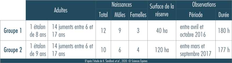 Description du nombre d'individus par groupe selon sexe et âge et les caractéristiques de leur lieu de vie: 1 étalon par groupe, 14 juments par groupe et 12 naissances dans le groupe 1, 10 dans le groupe 2. Le groupe 1 évolue sur 40ha tandis que le groupe 2 occupe 120ha