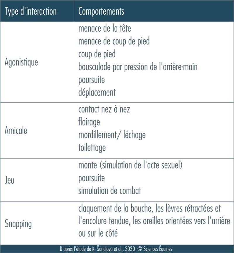 Détail des comportements relevés selon le type d' interaction  : agonistique (menace, coup de pied, bousculade etc.), amicale ( contact nez à nez, toilettage etc.), jeu et snapping