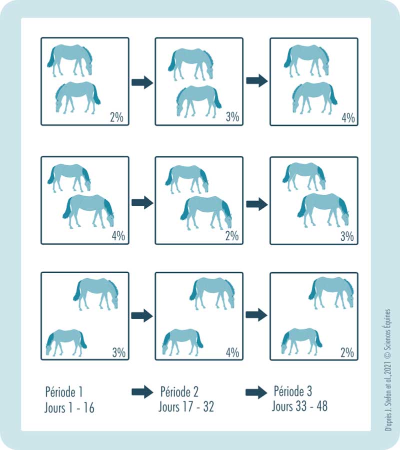 Figure illustrant la rotation des chevaux sur les différentes parcelles. Durant la période 1 (jours 1 à 16), un binôme de chevaux pâture sur une parcelle offrant 2 % de leur poids en herbe, un autre sur une parcelle à 4 % et le dernier sur une parcelle à 3 %. Au cours de la période 2 (jours 17-32), les binômes changent d’offre fourragère. De même lors de la période 3 (jours 33-48). A terme, chaque binôme aura pâturé 16 jours sur chaque offre fourragère.