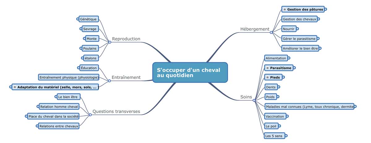 S'occuper d'un cheval au quotidien - toutes les questions que se posent les membres de l'association