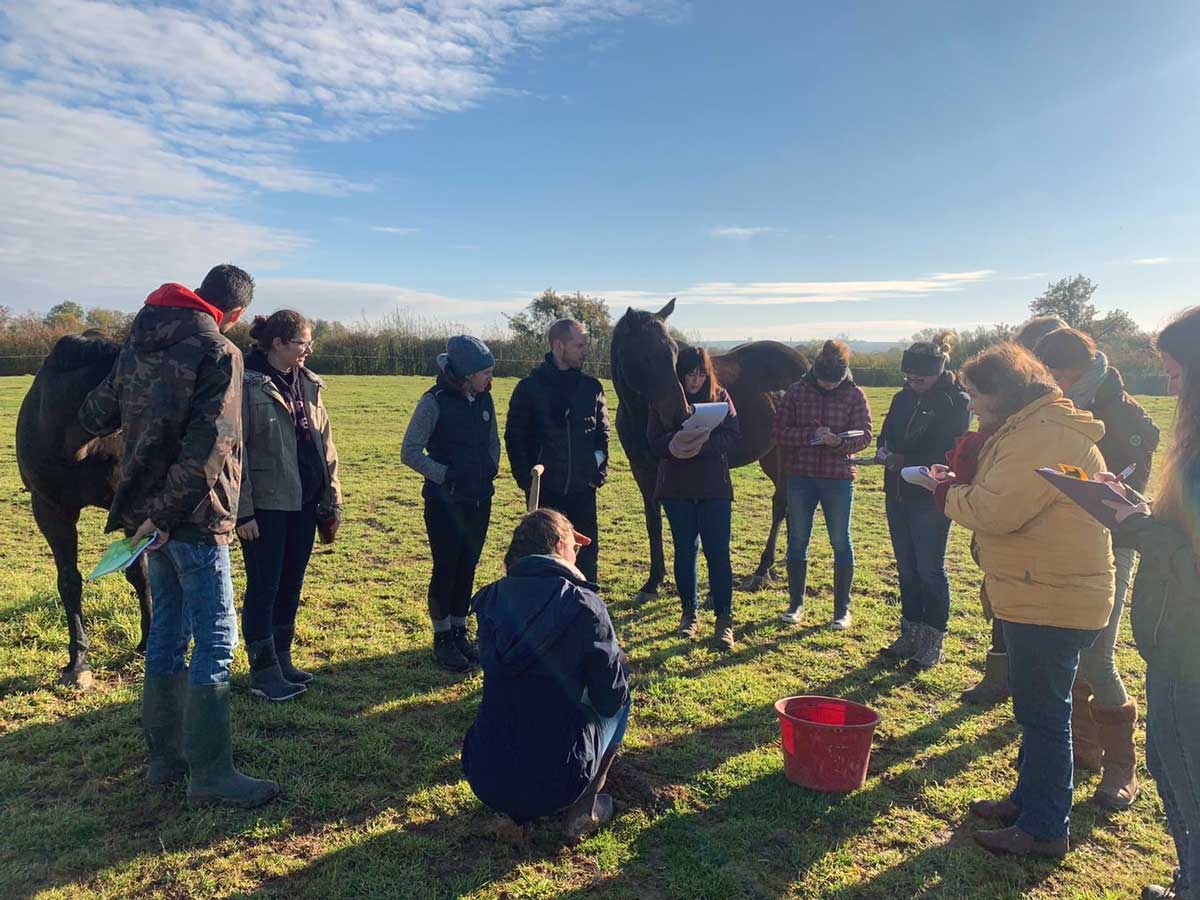 Stage Gestion de l'herbe et du paturage 2023