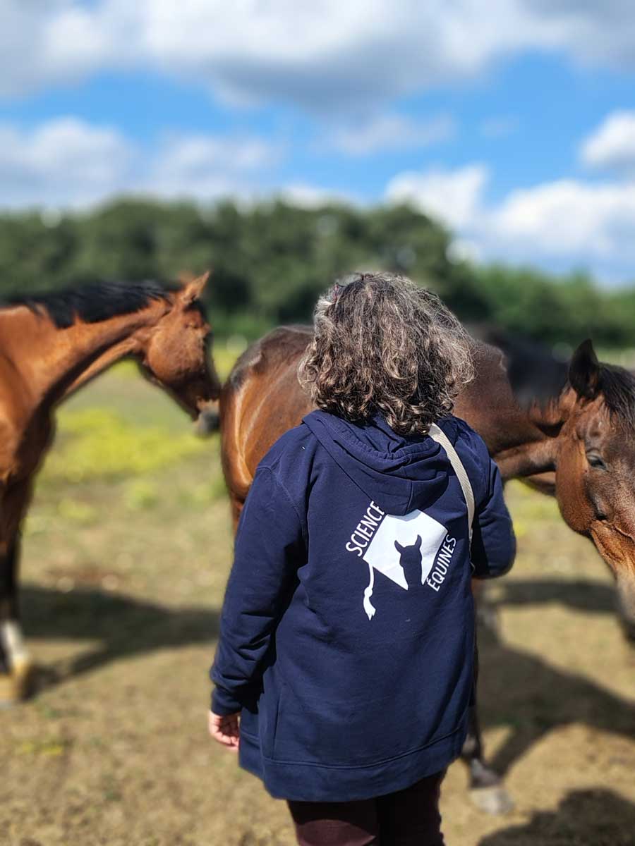 Les actions de l'ADSE