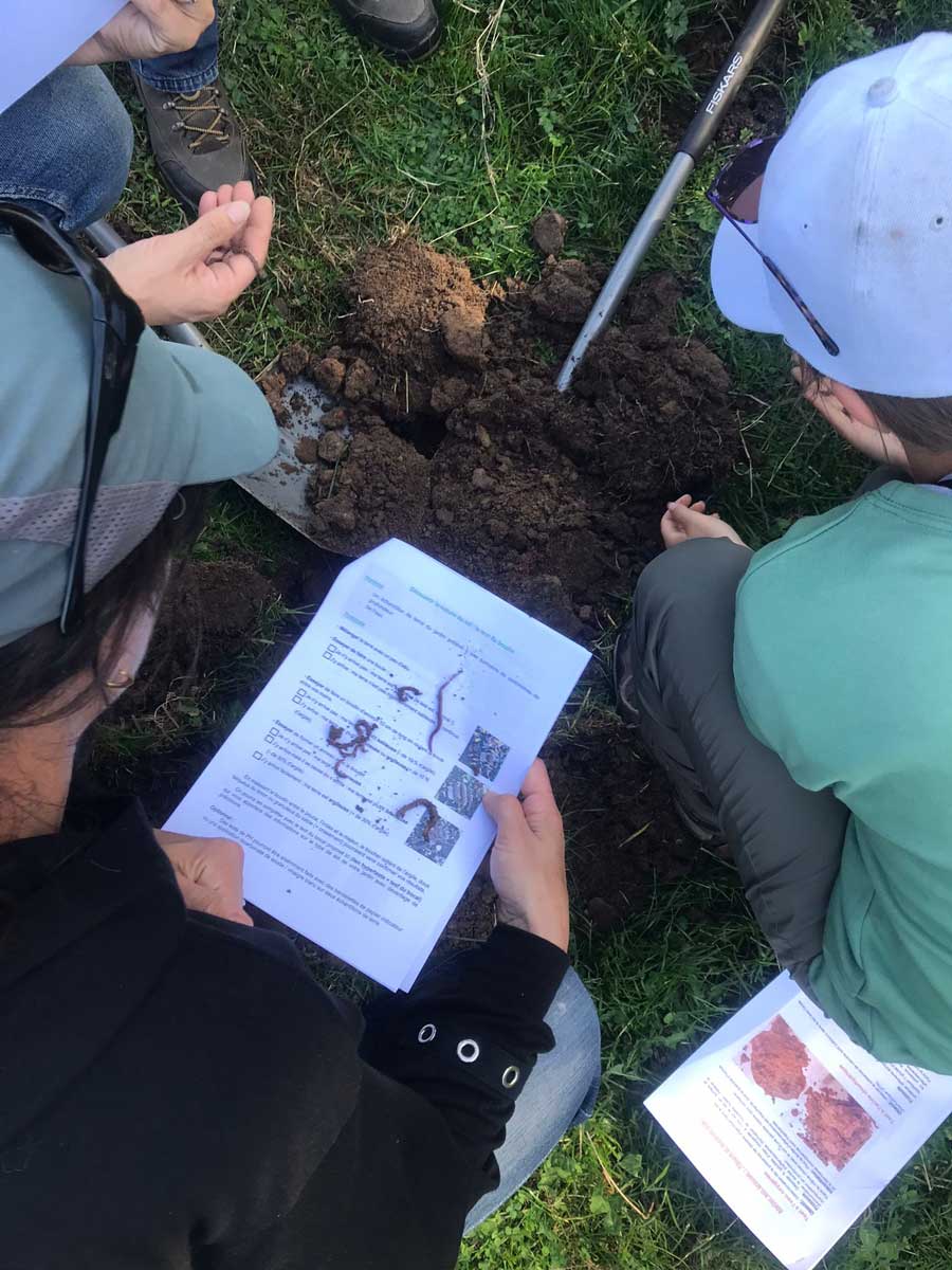 Rencontre du groupe Pâtures et Biodiversité